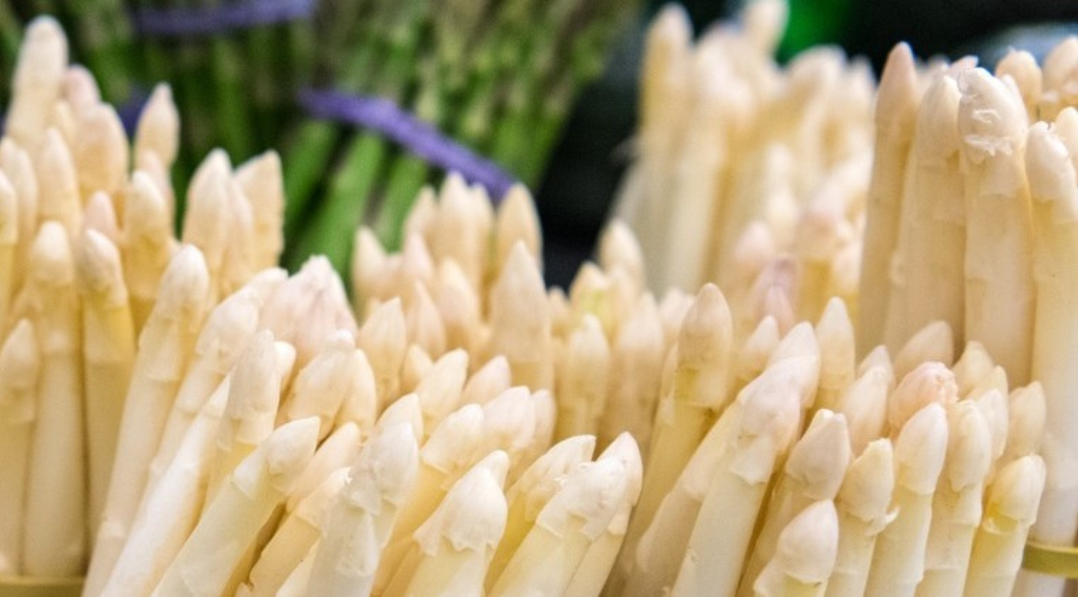 Weiße Spargelbündel in scharfer Darstellung, dahinter verschwommener grüner Spargel - eine Präzision, die eines Fissler-Kochgeschirrs würdig ist.