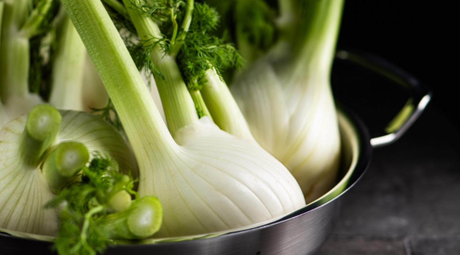 fenchel