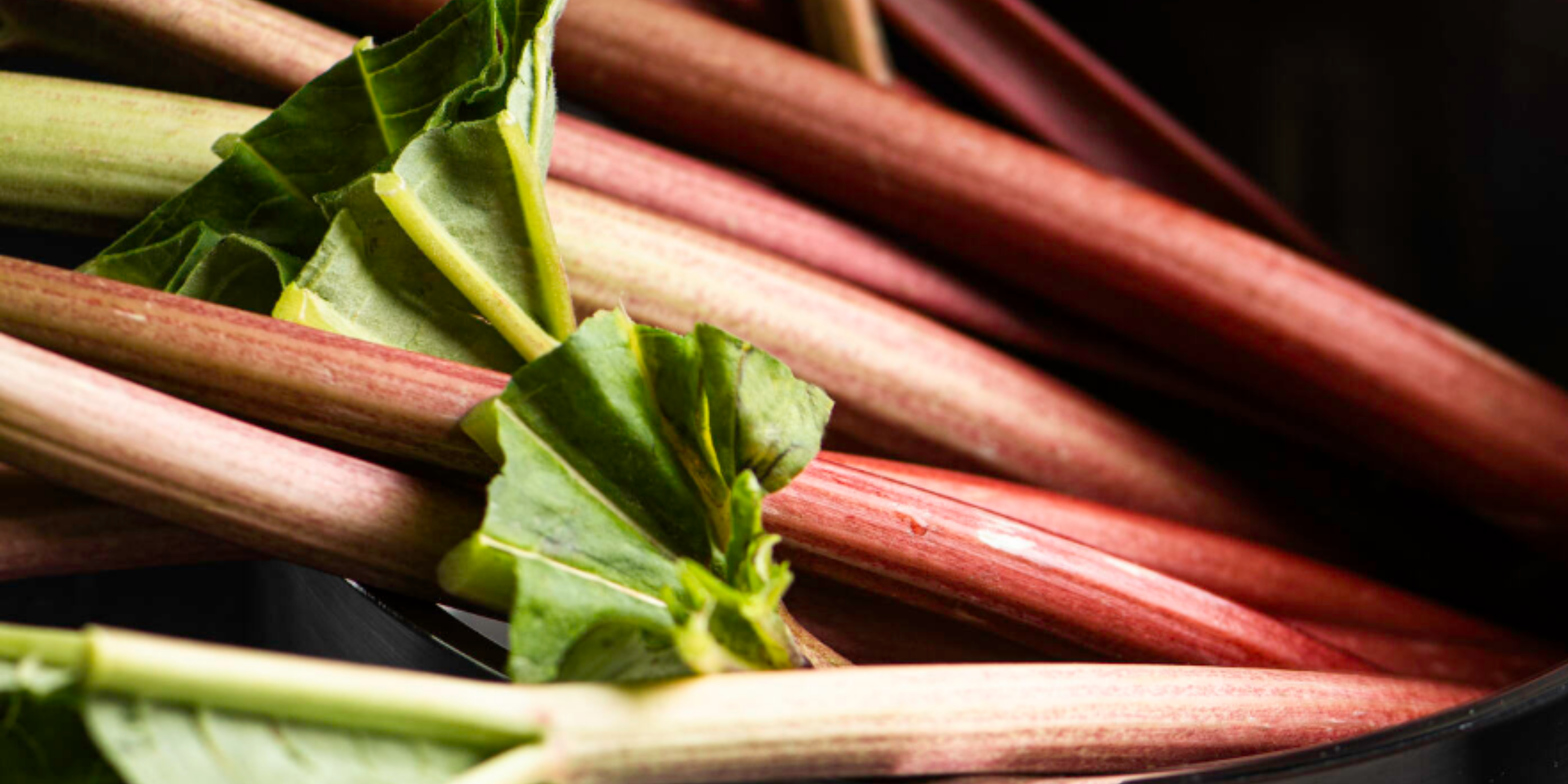 Fresh rhubarb stalks and green leaves rest on a dark background, ready for preparation in Fissler's precision-crafted cookware.