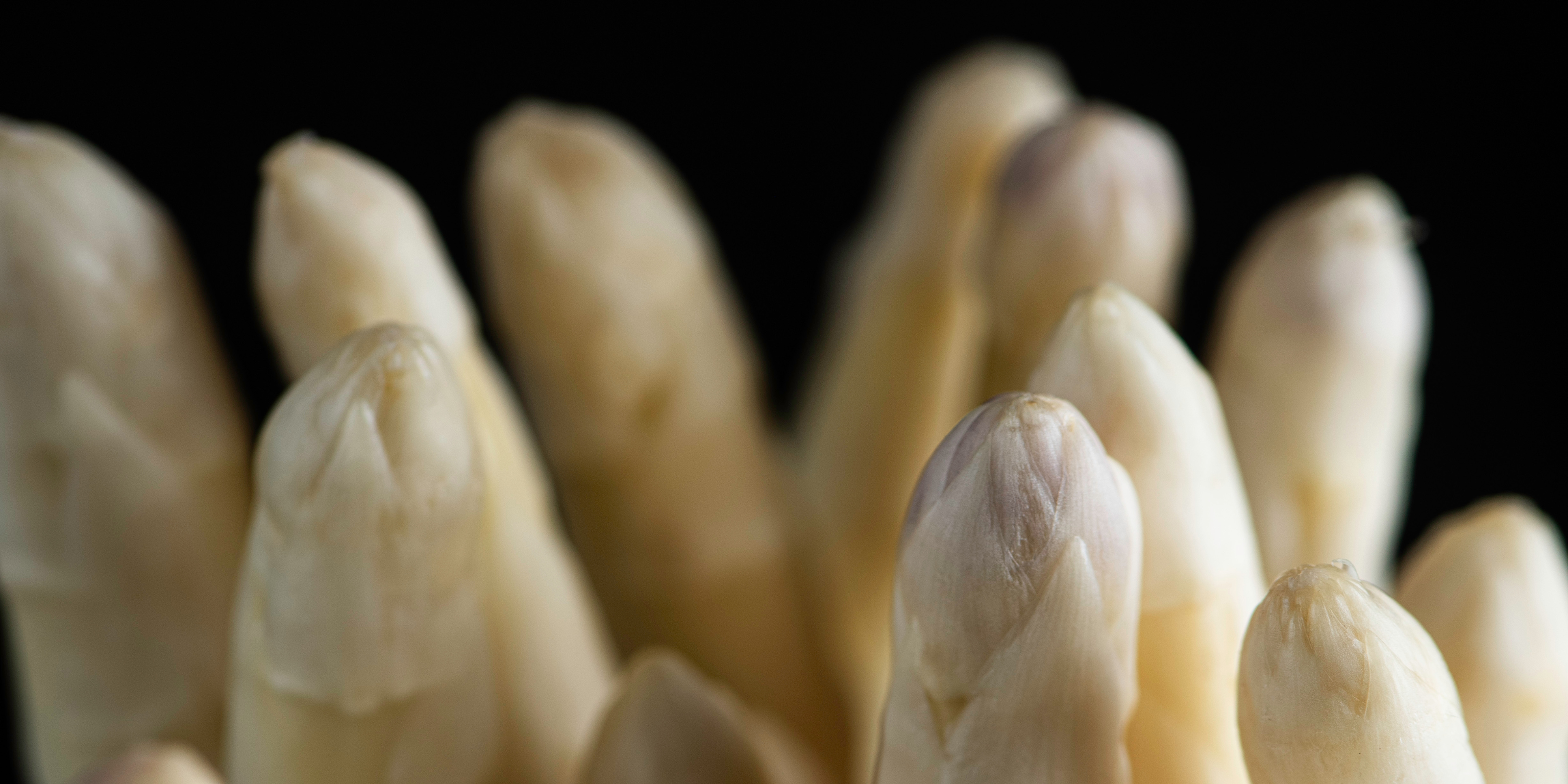 Crisp white asparagus spears stand upright on a black background, their smooth tips reminiscent of Fissler's precision and culinary excellence from German production.
