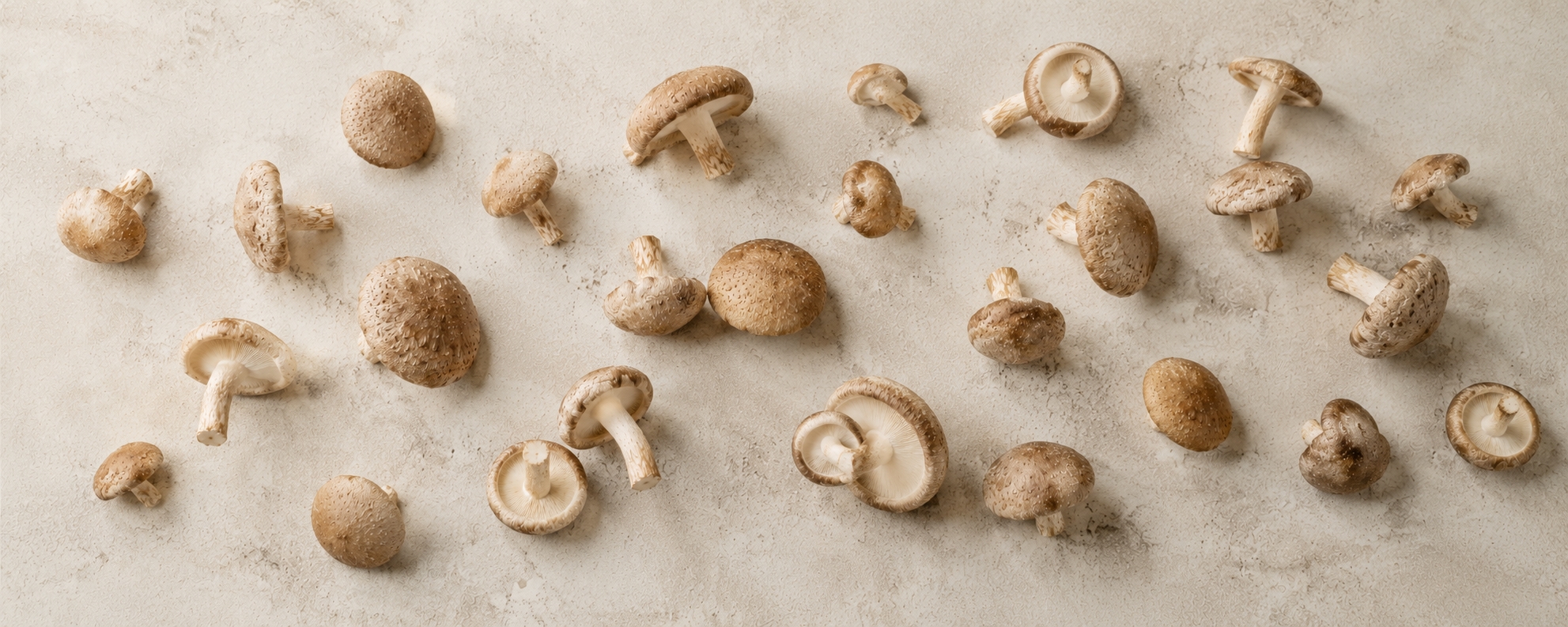 A selection of whole brown mushrooms with stems, artfully arranged on a softly textured beige surface—an ideal ingredient for creating exceptional dishes with Fissler’s premium stainless steel cookware, engineered for enduring performance and timeless design since 1845.