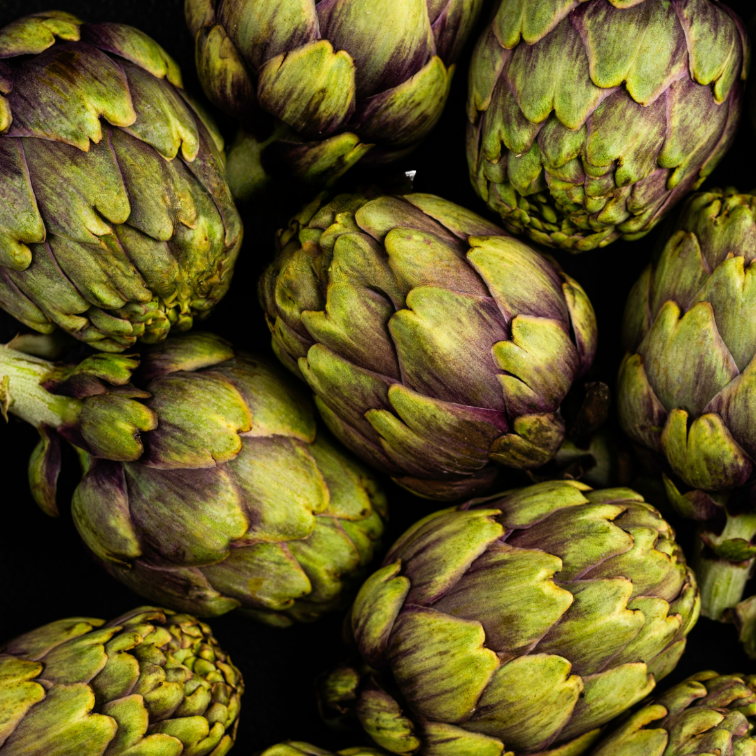 Fresh artichokes with green and purple hues arranged in a Fissler stainless steel pan against a dark background.