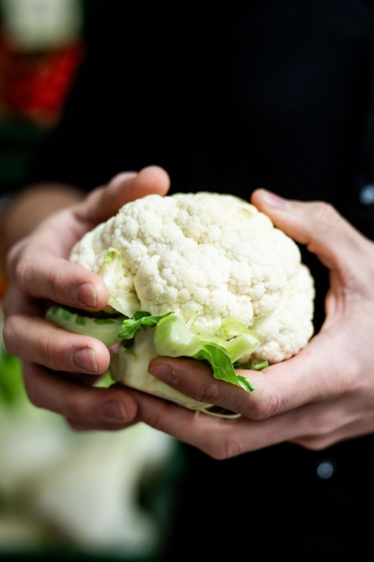 A person in a dark shirt holds a fresh cauliflower, ready for preparation with Fissler's German precision cookware.