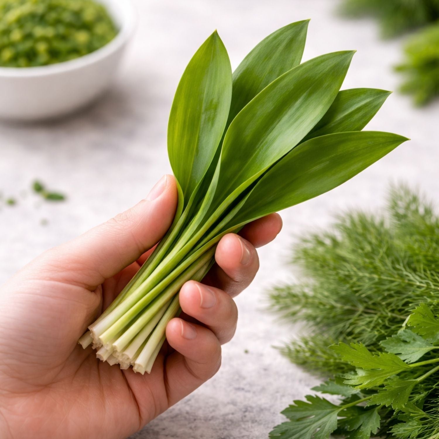 A hand holds fresh wild garlic leaves over a light surface, with herbs and green sauce in the background next to high-quality Fissler cookware.