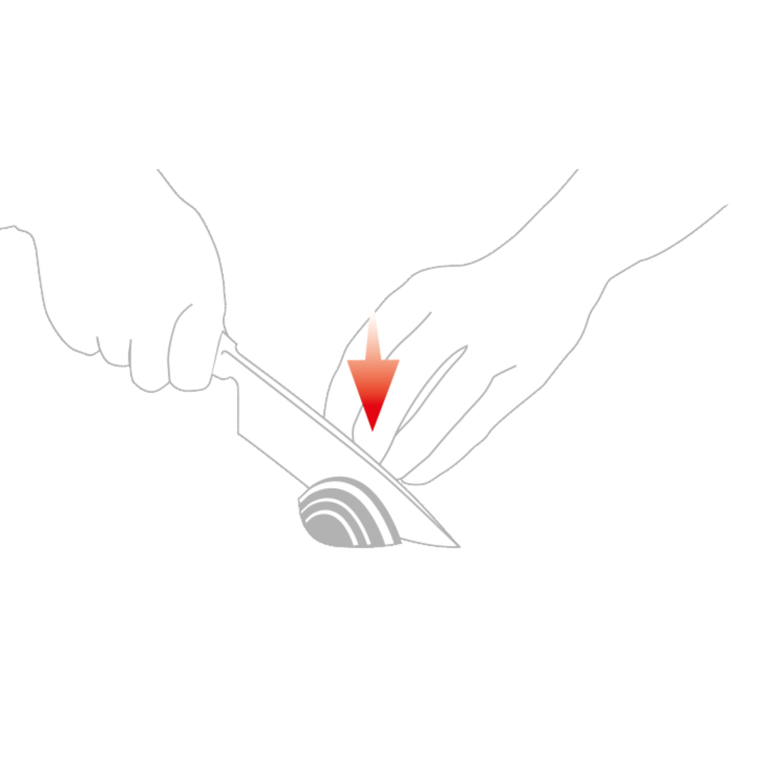 Precise line drawing of hands cutting an onion with a sharp knife; red arrow highlights the controlled, efficient Fissler cutting technique.