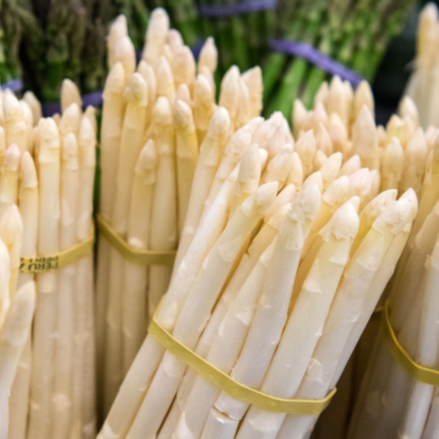 Fresh white asparagus bundles stand upright at the market, green asparagus is left behind - perfect for Fissler's precision cookware.