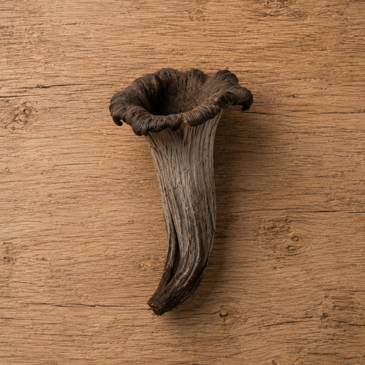 A single black trumpet mushroom with a deep, trumpet-shaped cap and grayish stem is placed on a wooden surface, reflecting culinary precision and natural elegance—ideal for cooking with premium Fissler stainless steel cookware.