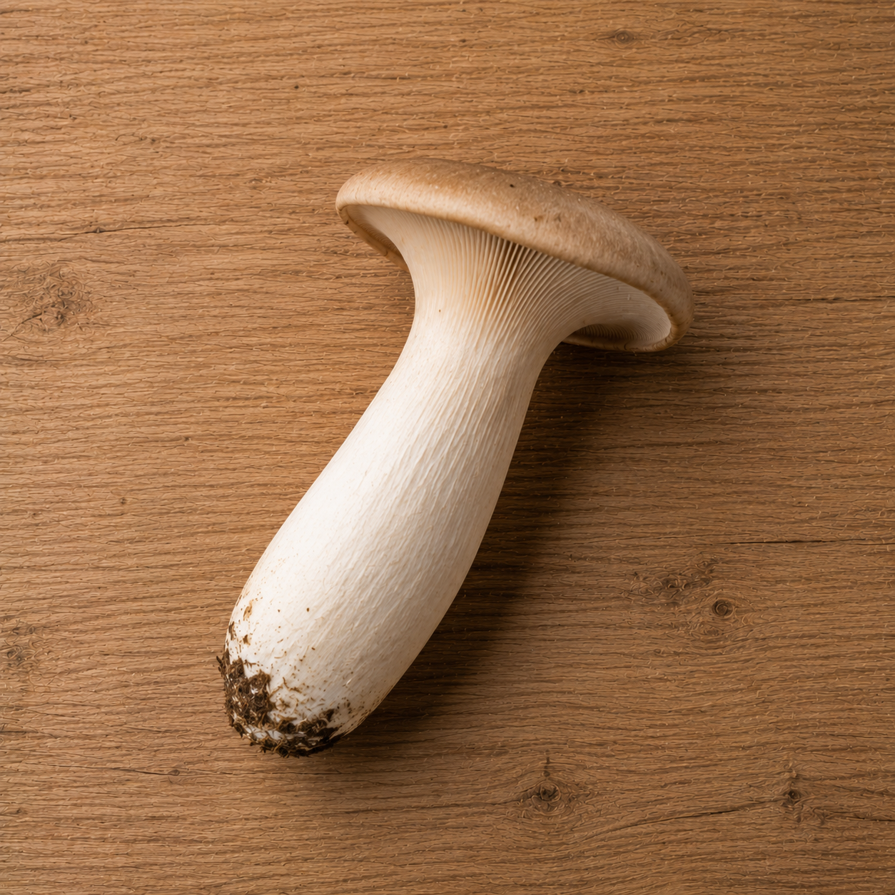 A single king oyster mushroom with a robust white stem and smooth brown cap lies on a light wooden surface, ready to become part of an exceptional meal crafted in premium Fissler stainless steel cookware.