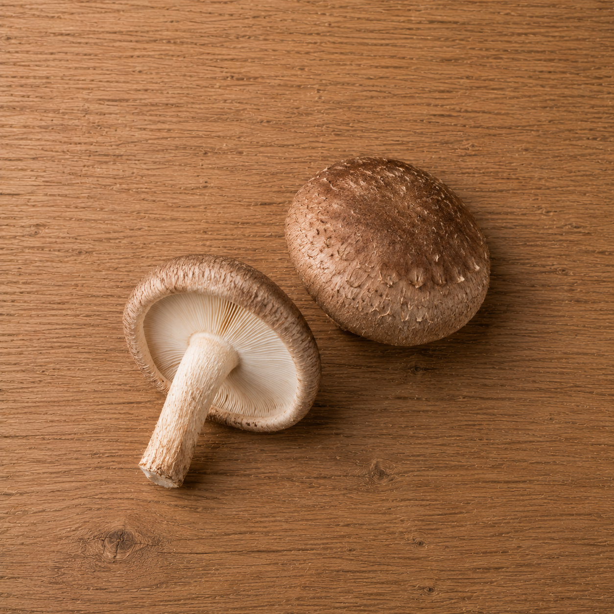 Two brown shiitake mushrooms rest on a wooden surface—one reveals its delicately fanned gills and sturdy stem, while the other displays its curved cap. Shot in elegant simplicity, the image highlights freshness and quality ingredients, ideal for preparing refined dishes with Fissler’s precision-engineered cookware.