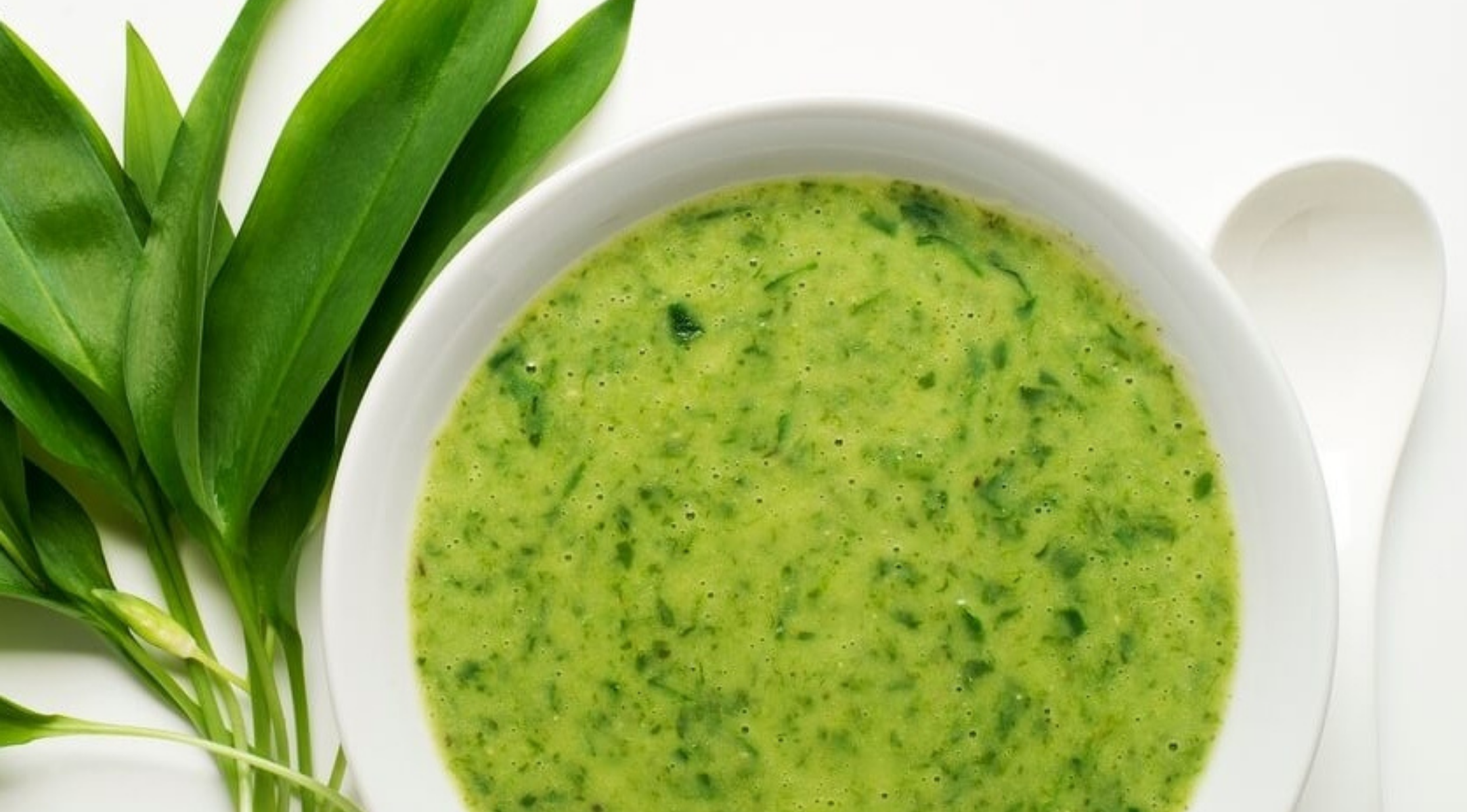 baerlauch-suppe-so-schmeckt-der-fruehling